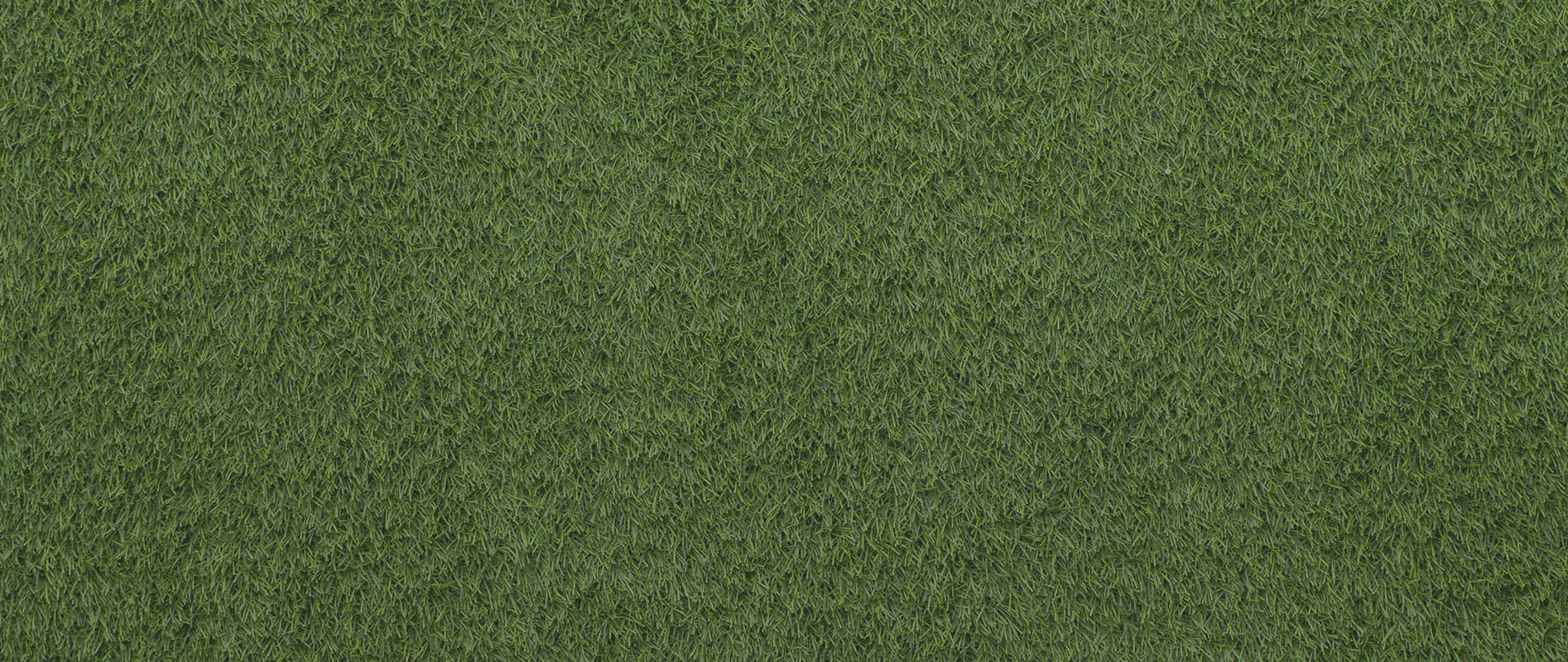 Gracias por su preferencia